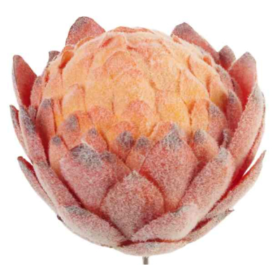 Karczoch Główka Kwiat Kula Premium Orange/Red