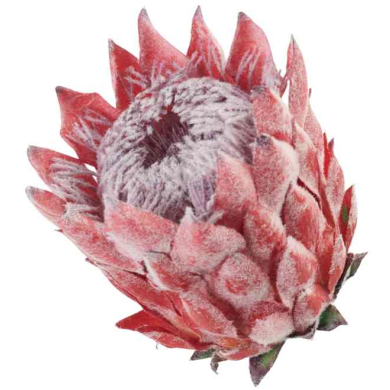 Karczoch Główka Kwiat 14 cm Premium Red Karczoch Główka Kwiat 14 cm Premium Red