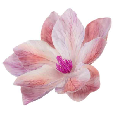 Klematis główka Cream/Pink/Lilac