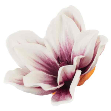 Klematis główka pianka 11 cm Ekskluzywna Cream/Burgund
