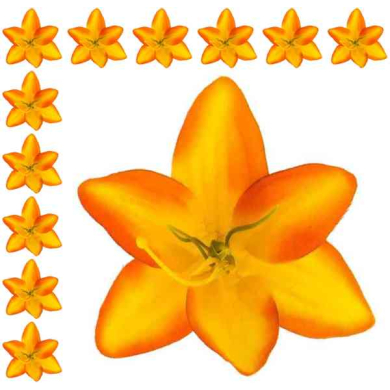 LILIA Kwiat satynowa główka Yellow/Orange 12 sztuk