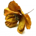 W180 Magnolia główka na łodyżce GOLD brokat