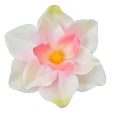 Magnolia główka satyna Cream/Pink