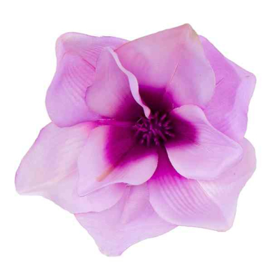 Magnolia główka satyna Pink/Purple