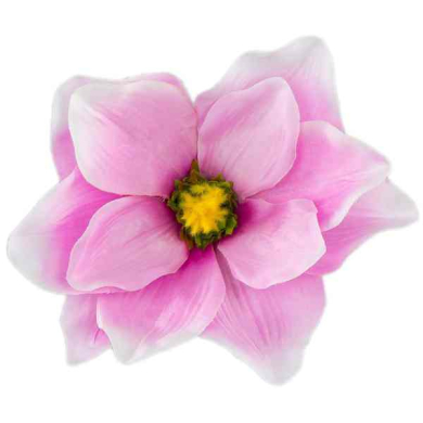 Magnolia DUŻA główka kwiat Pink