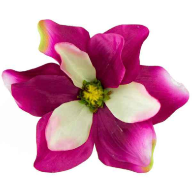 Magnolia DUŻA główka kwiat Fuchsia/Cream