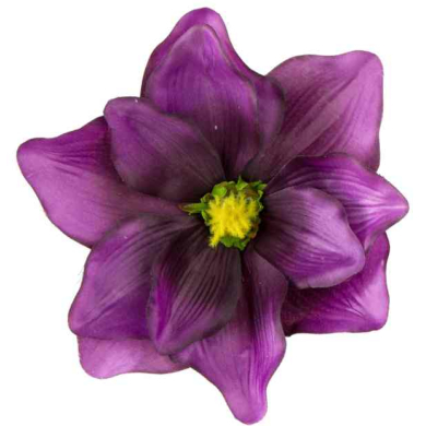 Magnolia DUŻA główka kwiat Dk.Purple