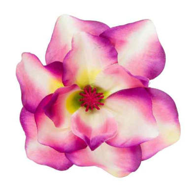 Magnolia główka kwiat Cream / Purple 17 cm