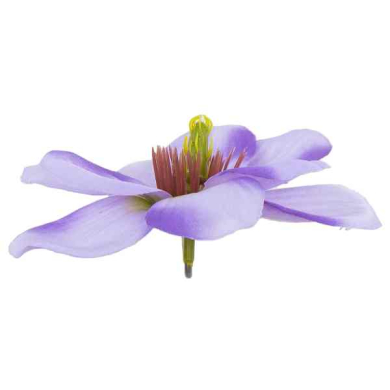 Magnolia główka kwiat 11 cm kolor Violet