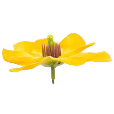 Magnolia główka kwiat 11 cm kolor Yellow