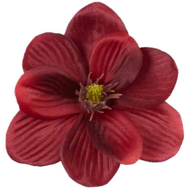 Magnolia główka kwiat 11 cm kolor Burgund