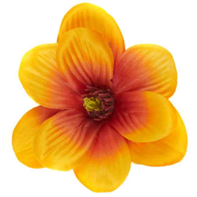 Magnolia główka kwiat 11 cm kolor Orange Burgund