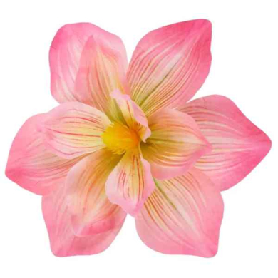 Magnolia DUŻA główka 20 cm KWIAT Pink