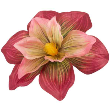 Magnolia DUŻA główka 20 cm KWIAT Burgundy