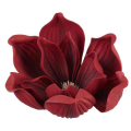 Magnolia główka kwiatowa pianka Ekskluzywna 16 cm Burgund Magnolia główka kwiatowa pianka Ekskluzywna 16 cm Burgund