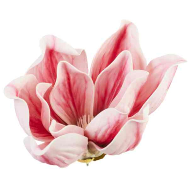 Magnolia główka kwiatowa pianka Ekskluzywna 16 cm Cream/Pink