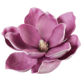Magnolia główka pianka Ekskluzywna 14 cm Purple Magnolia główka pianka Ekskluzywna 14 cm Purple