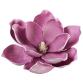 Magnolia główka pianka Ekskluzywna 14 cm Purple Magnolia główka pianka Ekskluzywna 14 cm Purple