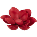 Magnolia główka pianka Ekskluzywna 14 cm Dk.Red