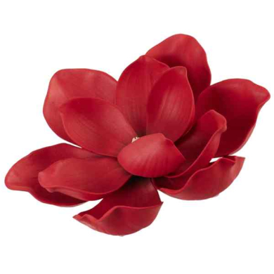 Magnolia główka pianka Ekskluzywna 14 cm Dk.Red