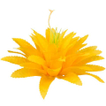 AGAWA główka Kwiat yellow
