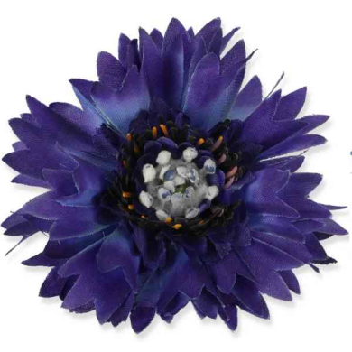 Chaber główka Violet/Purple