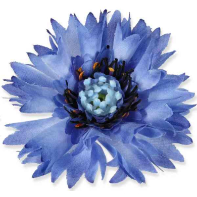 Chaber główka Lt.Blue