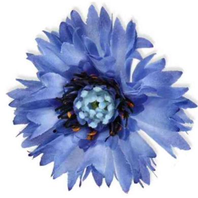 Chaber główka Lt.Blue