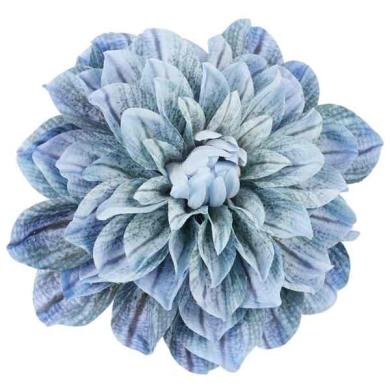 Dalia główka 17 cm piękny KWIAT Blue