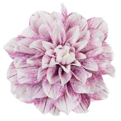 Dalia główka 17 cm piękny KWIAT Cream/Purple