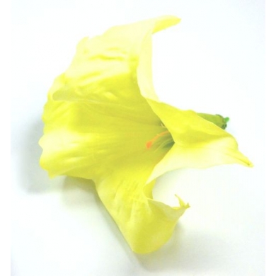 W501 Datura główka Mint/lt.yellow