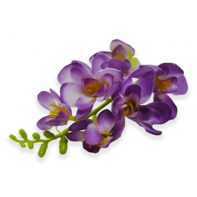 W138 FREZJA mięsista główka kwiat Violet