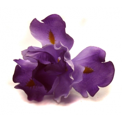 IRYS główka KWIAT Violet/Purple