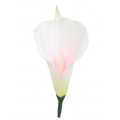 C162 Kalla główka kwiat KALIA white/pink