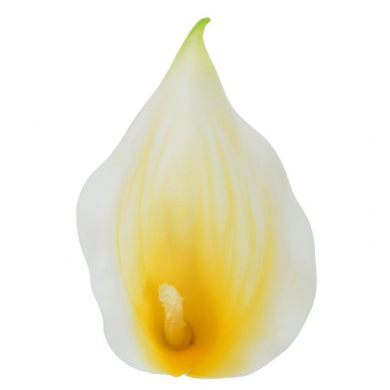 C162 Kalla główka kwiat KALIA white/lt.yellow