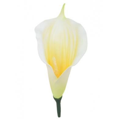 C162 Kalla główka kwiat KALIA white/lt.yellow