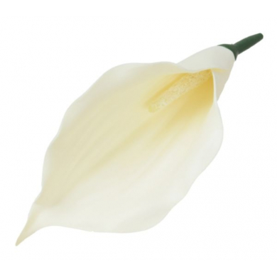 Kalla główka kwiat KALIA cream