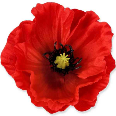 Mak główka Red