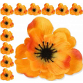 Mak ANEMON główka Orange Mak ANEMON główka Orange