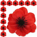Mak ANEMON główka Red