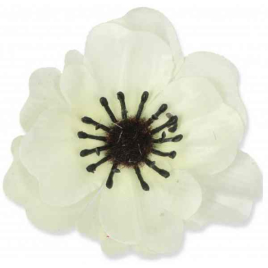 Mak ANEMON główka Cream
