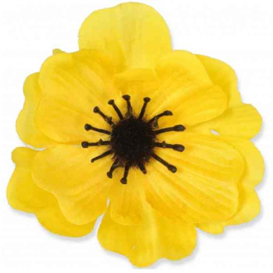 Mak ANEMON główka Yellow