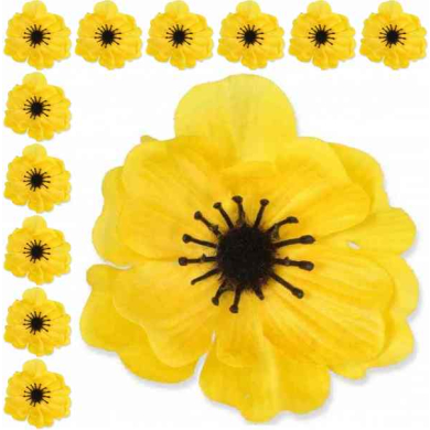 Mak ANEMON główka Yellow