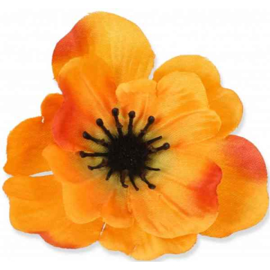 Mak ANEMON główka Orange Mak ANEMON główka Orange