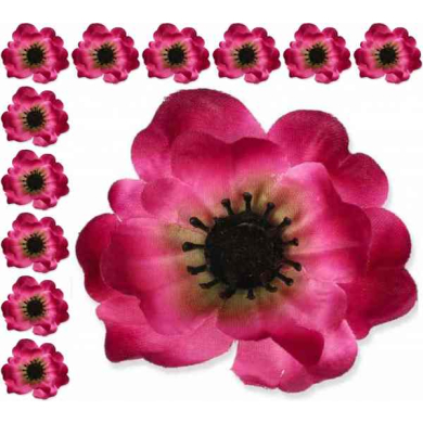 Mak ANEMON główka Amarant