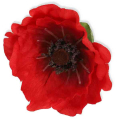 Mak główka Red 15 cm