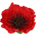Mak główka Red 15 cm