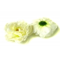 W382 Peonia główka Cream