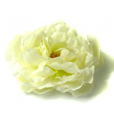 W382 Peonia główka Cream