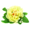 W385 Peonia główka z liściem Cream